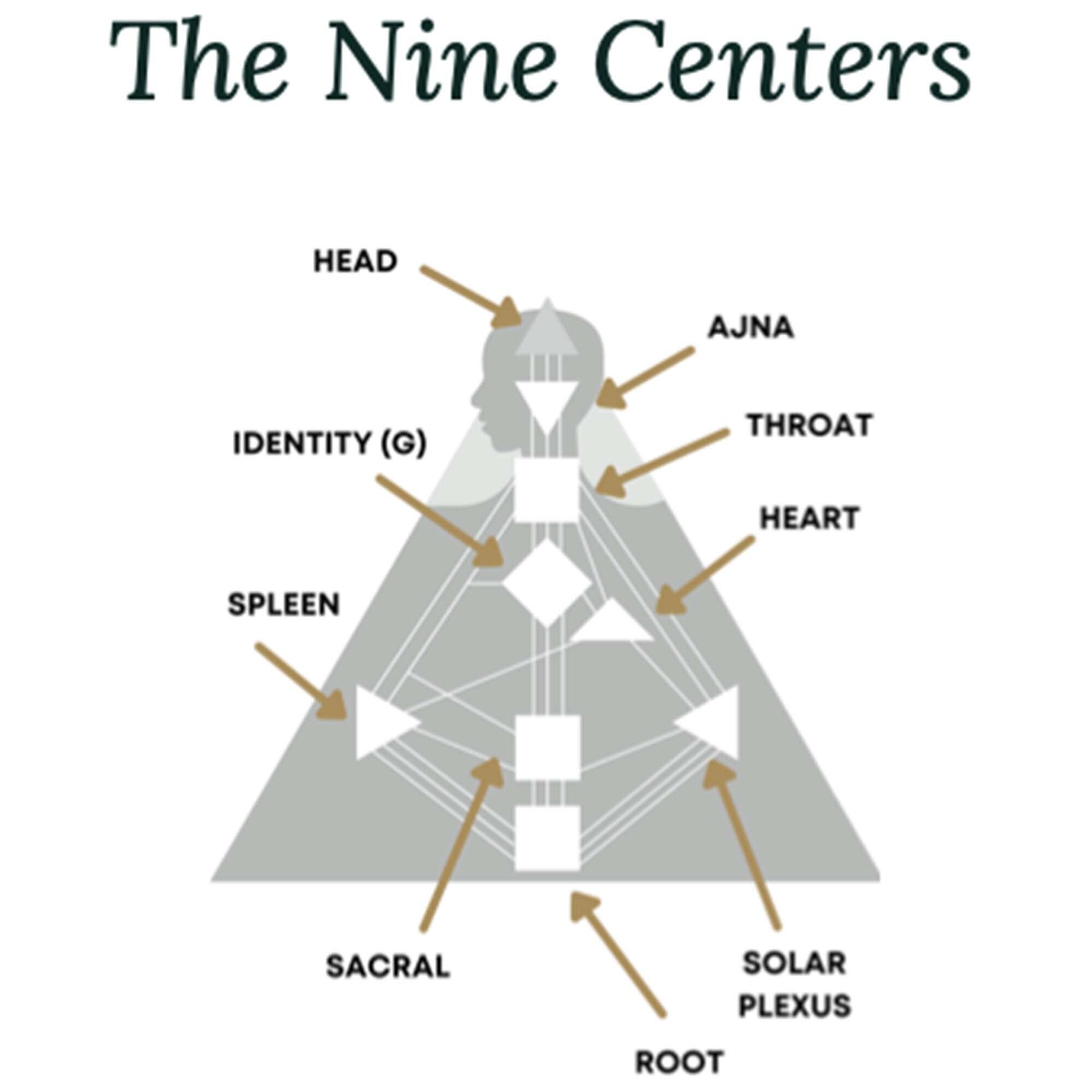 What Is Human Design? | How to Read Human Design Charts